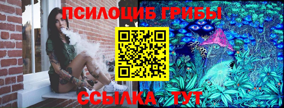 Псилоцибиновые грибы мицелий Железноводск