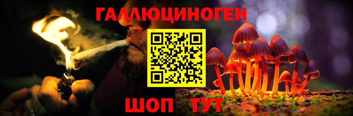 Галлюциногенные грибы мицелий  Вход с VPN  где продают   Псилоцибиновые грибы Psilocybine cubensis  Железноводск 